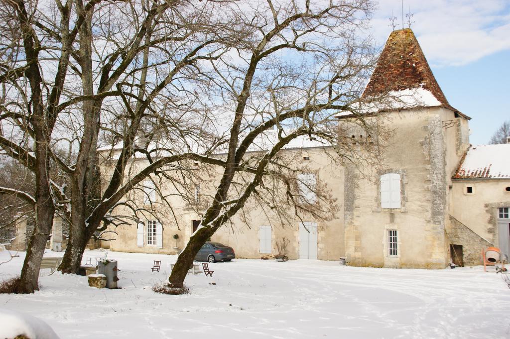 Chateau De La Combe Puyrenier Dış mekan fotoğraf
